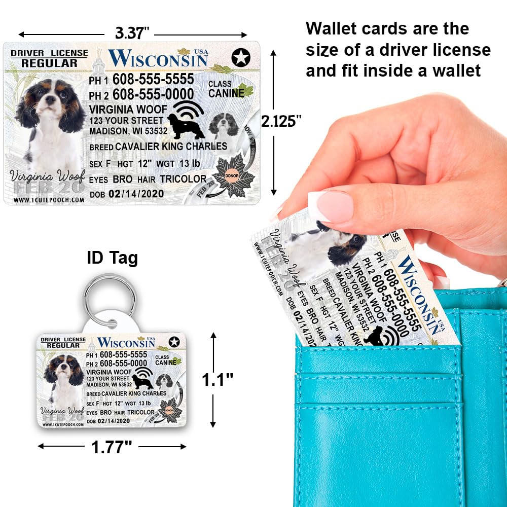 Amazon.com: Wisconsin Driver License Custom Dog Tag for Pets and
